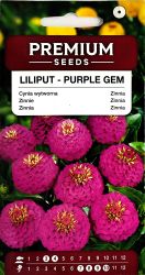 Zinnia Lilliput Purple Gem Seeds